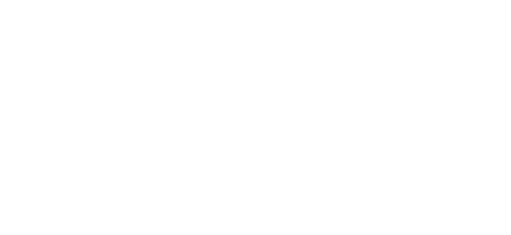 نیٹلر logo